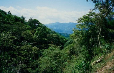 Mexico, Chiapas